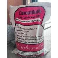 ราคา ไคลน๊อพติโลไลท์(ของแท้) (23432653189)