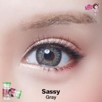 ราคา Sassy Gray Pretty Doll Contact Lens (2201218305)