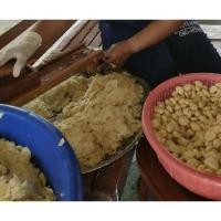 ราคา มีดสไลด์กระเทียม หอมแดง กล้วย ขนุน แครรอท ลูกหมาก ลูกประ มะพร้าว เรียบมีกล่อง 8 ซม. 1 คม (11260382214)