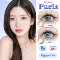 ราคา คอนแทคเลนส์ Paris Brown/ Gray (Shinee Lens) ขนาดบิ๊กอาย ตาโต (28869422537)