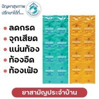 ราคา Dioxzye 10 เม็ด ลดกรด จุกเสียด แน่นท้อง ท้องอืด ท้องเฟ้อ (18355354629)