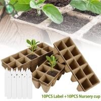 ราคา 10 ถาดเพาะกล้า ถาดเพาะชำ ถาดเพาะเมล็ด ชิ้นต้นกล้าถาดเริ่มต้น 10 หลุมย่อยสลายได้ต้นกล้า Peat กระถางอินทรีย์การงอกพืช Starter ถาด ต้นอ่อน ต้นกล้า เมล็ด ผัก สลัด (28051761731)
