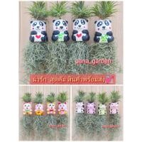 ราคา ตุ๊กตาเซรามิคสี สุดน่ารักสดใสแต่งเคราฤาษี (21884744272)