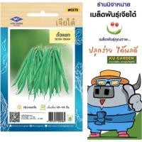 ราคา CHIATAI ผักซอง เจียไต๋ O173 ถั่วแขก เมล็ดพันธุ์ถั่ว ถั่วแขก ถั่ว เมล็ดพันธุ์ผัก เมล็ดผัก เมล็ดพืช ผักสวนครัว (26430346976)