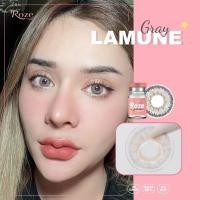 ราคา มีค่าสายตา Rozelens Lamune Gray Brown บิ๊กอาย สุดปัง คอนแทคเลนส์ รายเดือน มีอย แถมตลับฟรี เลนส์นิ่ม สวยปังมาก (27524818145)