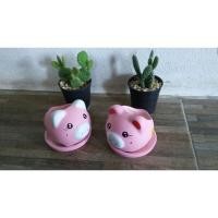 ราคา #กระถางน้องหมูแฟนซี(5 ชุด ราคา 100 บาทค่ะ)ค (11342143958)