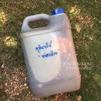 ราคา จุลินทรีย์หน่อกล้วย ขนาด 600มล. และ 1.5ลิตร หัวเชื้อคุณภาพเข้มข้น บำรุงดิน ป้องกันโรคพื้นในดิน (14051700416)