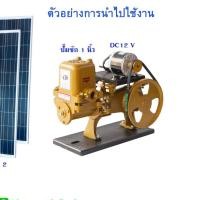 ราคา ปั้มชัก 1 นิ้ว ปั้มน้ํา 12v โซล่าเซล ใช้กับแบตเตอรี่ 12 โวลท์ แผงโซล่าเซลล์ (7001692948)
