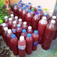 ราคา จุลินทรีย์สังเคราะห์แสง #หัวเชื้อจุลินทรีย์สังเคราะห์แสง 600 มล. (7014578864)