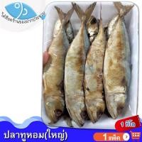 ราคา ไต๋ฮ๊อด ปลาทูหอมใหญ่ 1กิโล 1แพ็ค ปลาทูแม่กลอง ปลาทูหอม ปลาทูเค็ม ปลาทู ปลาเค็ม อาหารทะเล อาหารแห้ง (10374368396)