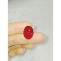 ราคา พลอยทับทิม สีแดง Ruby ไข่ หลังเบี้ย15.9×12mm.12.20กะรัต เหมาะทำฝังพลอย แหวนเม็ดเดี่ยว ชาย หญิง จี้พลอย พลอยแท้ธรรมชาติ (7166706252)
