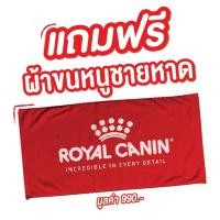 ราคา (ของแถม) ผ้าห่ม ROYAL CANIN (23683868133)