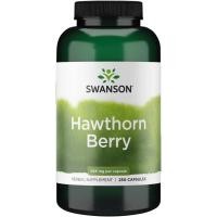 ราคา Swanson, Hawthorn Berry, 565 mg, 250 Capsules (29782435041)