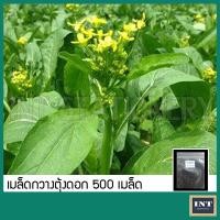ราคา เมล็ดกวางตุ้งดอก กวางตุ้งดอก ประมาณ 500 เมล็ด เมล็ดพันธุ์ผัก เมล็ดผัก เมล็ดพันธุ์กวางตุ้งดอก (15043818699)