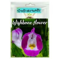 ราคา แววมยุรา ดอกไม้ 100 เมล็ด (6819805633)