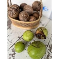 ราคา New!! ลูกตีนเป็ดแห้ง (สีธรรมชาติ) ใช้ตกแต่งร้าน ต้นคริสต์มาส พร๊อพถ่ายรูป แต่งโต๊ะอาหาร DIY (20343221890)