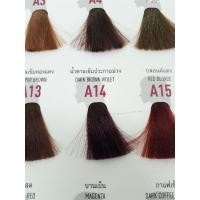 ราคา โกรกเบอริน่า สีผมเบอริน่า A12 A13 A14 A15 A16 A17 (27726563017)