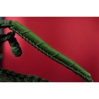 ราคา ตะกรุดโทน หลวงพ่อประสิทธิ์ วัดไทรน้อย จ.นนทบุรี (18570600305)