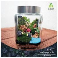 ราคา ชุดจัดสวนขวดแก้ว ทรงเหลี่ยมฝาใส ตั้งได้2แบบ Terrarium Set 7. ครบเซ็ต ชุดจัดสวนขวด พร้อมส่ง (18773041382)