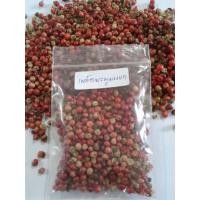 ราคา เมล็ดต้นมะตูมแขก หรือเมล็ดมะตูมซาอุ 1ชุดมีประมาณ 300เมล็ด ส่งฟรี (14282937109)