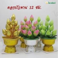 ราคา ดอกบัวพาน ดอกบัวพานพานขนาด 12 ซม.ดอกบัวพานตั้งโต๊ะหมู่ บัวพานบูชาพระ ดอกบัวเงิน-ทอง ดอกบัวเขียว ดอกบัวชมพู (12354510494)