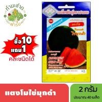 ราคา 3A (ซื้อ10แถม1) เมล็ดพันธุ์ แตงโมไข่มุกดำ ขนาด2กรัม ประมาณ40เมล็ด WATERMELON SUGAR BABY แตงโม เมล็ดพันธุ์พืช เมล็ดผัก (5343355855)
