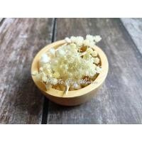 ราคา อคิเลีย ดอกไม้แห้ง ดอกหญ้าแห้ง หญ้าแห้ง DIY ดอกหญ้า ตกแต่ง พร้อพถ่ายรูป (21330750379)