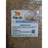ราคา สั่ง 9 ขีด ค่าส่งถูกกว่า ข้าวกล้องงอก หอมมะลิ ข้าวกล้องหอมมะลิ ข้าวหอมมะลิ ใหม่ต้นฤดู ออแกนนิค ปลอดสาร บ้านข้าวปั้น (6678160299)