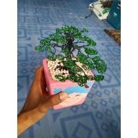 ราคา โมบายบอนไซรวดสวยงามไว้ประดับบ้าน (9351738489)