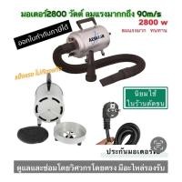 ราคา แท้จากโรงงานโดยตรง ปลั๊ก2ขากลม ไดร์ไล่น้ำ/เป่าร้อน Aeolian(Monster) 2800 Watt 220volt รับประกันมอเตอร์1 ปี ลมแรงมาก (779942665)