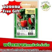 ราคา ผลิตภัณฑ์ใหม่ เมล็ดพันธุ์ 2022สินค้าของแถม Free Gift 1 ซอง เมื่อลูกค้าซื้อสินค้า เมล็ดอวบอ้วนผักซอง 25 บาท ในร้ /ดอก ND1 (23208259254)