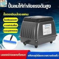 ราคา ปั๊มลม Bonetar HP-90/180/300 ปั้มอ็อกซิเจน ปั๊มลมบ่อปลา เหมาะสำหรับตู้ปลาและบ่อปลา ปั๊มลมตู้ปลา (28068403394)