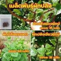ราคา เมล็ดผักปลัง เมล็ดพันธุ์ผักปลัง ผักปลังยักษ์ ผักปลังยอดใหญ่ ## ผักปลังญี่ปุ่น ผักปลังแดงยักษ์ ผักปลังเขียวยักษ์ (8374308151)