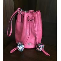 ราคา ขาย กระเป๋า Coach F56581 คล้องมือ ทรงขนมจีบ มือสอง สภาพมือ1 (1046384141)