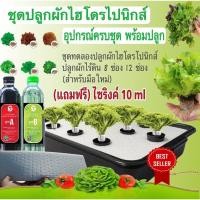 ราคา ชุดทดลองปลูกผักไฮโดรโปนิกส์ ปลูกผักไร้ดิน 8 ช่อง 12 ช่อง 18 ช่อง(สำหรับมือใหม่) (11971600713)