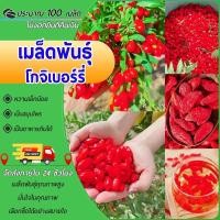 ราคา 100เมล็ด เมล็ดพันธุ์โกจิเบอร์รี่ เมล็ดเก๋ากี้ โกจิเบอรี่ เมล็ดเมล็ดพันธุ์โกจิเบอรี่ งอกง่าย ผลดก (29585808289)