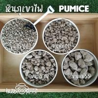 ราคา หินภูเขาไฟ ใช้สำหรับรองก้นกระถางแคคตัส หรือผสมดินปลูกแคคตัส รองบ่อกรองตู้ปลา วัสดุกรองบ่อปลาคาร์ฟ (9037378391)