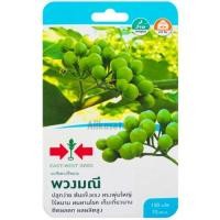 ราคา เมล็ดมะเขือพวง พวงมณี ตราศรแดง (27806775367)