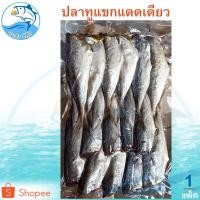 ราคา ปลาทูแขกตัดหัว 1แพ็ค 300กรัม ปลาทู ปลาทูแขก ปลาทูแขกตัดหัว ปลาทูแขกแห้ง ปลาทูแม่กลอง ปลาเค็ม (5612871925)