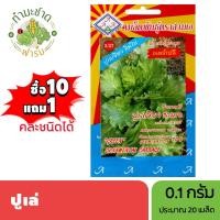 ราคา 3A (ซื้อ10แถม1) เมล็ดพันธุ์ ปูเล่ ขนาด0.1กรัม ประมาณ20เมล็ด ORNAMENTAL CABBAGE เคล เมล็ดพันธุ์พืช เมล็ดผัก (10402957111)
