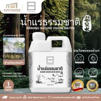 ราคา น้ำแร่ธรรมชาติ 100% จากบ่อน้ำแร่ร้อน จังหวัดระนอง สำหรับแช่เท้า♨️♨️Ranong Onsen Water 1L (26267607076)