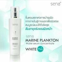 ราคา Sena Marine Plankton Water Serum (1482375366)