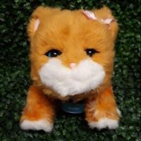 ราคา ตุ๊กตาแมวขี้อ้อนส้ม little live pets สัตว์เลี้ยงอิเล็กทรอนิกส์ (2309597752)