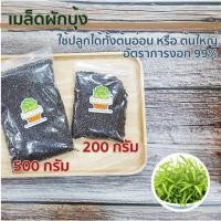 ราคา เมล็ดผักบุ้งจีน อัตราการงอก 99% พันธุ์ใบไผ่ เมล็ดผักบุ้งงอก ผักบุ้งต้นอ่อน เม็ด ผักบุ้ง ผักบุ้งจีน (863271674)