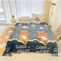 ราคา ผ้าห่มนาโน 6ฟุต ลายการ์ตูน แบบหนา 1100กรัม เนื้อผ้านุ่ม (28164733406)