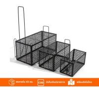 ราคา กรงดักหนูสปริง2ตัวโครงหนา กรงดักหนู กรงดักหนูแบบมีโครง กรงดักหนูสปริงคู่ กรงดักหนูนา กรงดักหนูเล็ก (22571184673)