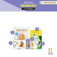 ราคา รีบอร์นโภชนาการที่ดีเพื่อคุณ Reborn Bilanx Oil 29,540 (25256155019)