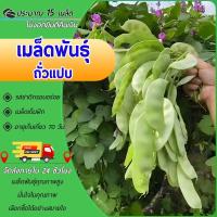 ราคา 15เมล็ด เมล็ดพันธุ์ถั่วแปบ เมล็ดถั่วแปบ ปลูกง่าย โตไว ผลดกมาก ทานอร่อย ผักสวนครัว พืชผัก (28124806472)