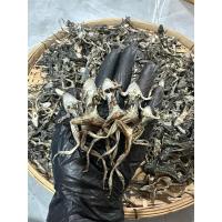 ราคา เขียดนาตากแห้ง_เขียดจนา (26683848734)