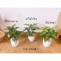 ราคา ต้นไม้มงคลจิ๋ว ต้นไม้ปลอม ขนาดเล็กพร้อมกระถางและหิน (20863903689)